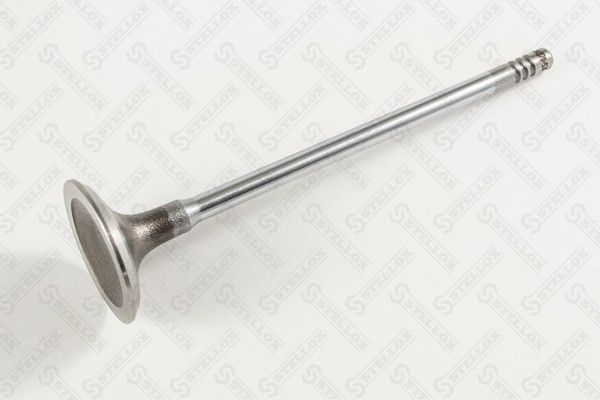 STELLOX 01-24370-SX Intake Valve