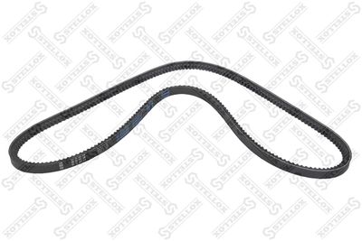 V-Belt STELLOX 01-31250-SX