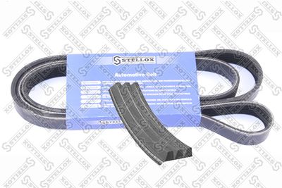 V-Ribbed Belt STELLOX 03-00648-SX