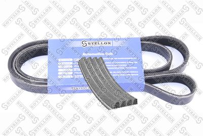 V-Ribbed Belt STELLOX 04-00763-SX