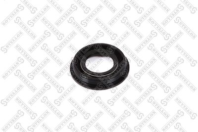 Seal Ring, nozzle holder STELLOX 11-25431-SX