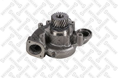 Water Pump, engine cooling STELLOX 81-04123-SX