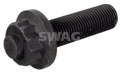 Pulley Bolt SWAG 30 05 0017