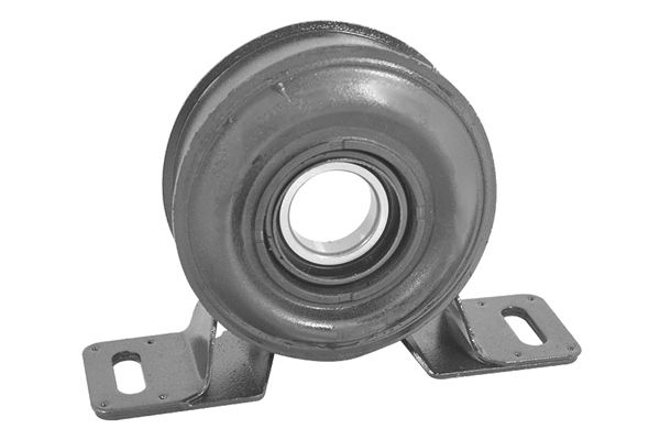 TEDGUM 00222200 Suspension, propshaft