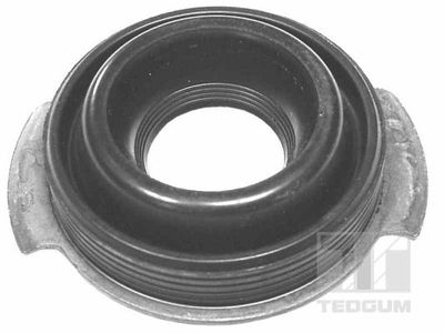 Seal, injector shaft TEDGUM 00225096