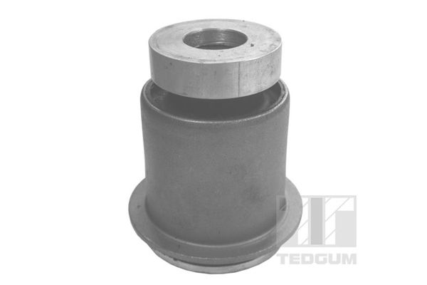 TEDGUM 00673659 Mounting, control/trailing arm