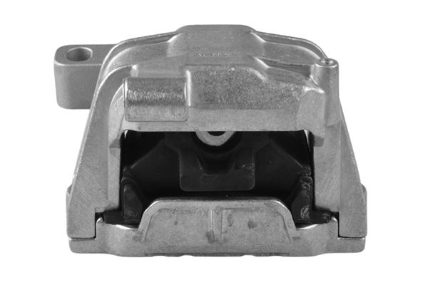 TEDGUM TED42892 Mounting, engine