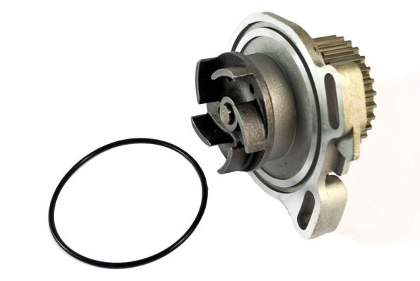 THERMOTEC D1A010TT Water Pump, engine cooling