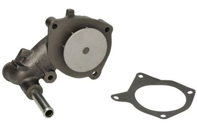 Water Pump, engine cooling THERMOTEC D1G034TT