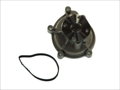 Water Pump, engine cooling THERMOTEC D1M051TT