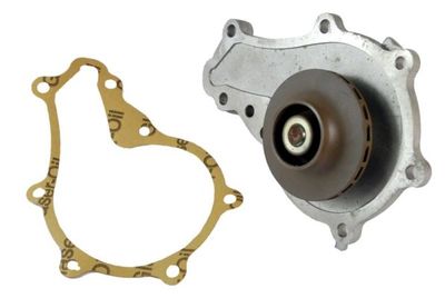 Water Pump, engine cooling THERMOTEC D1P036TT