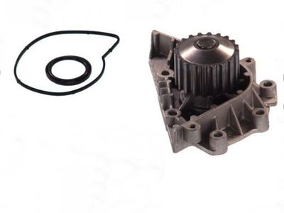 Water Pump, engine cooling THERMOTEC D1P042TT