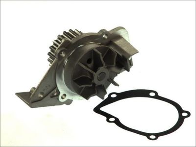 Water Pump, engine cooling THERMOTEC D1P045TT