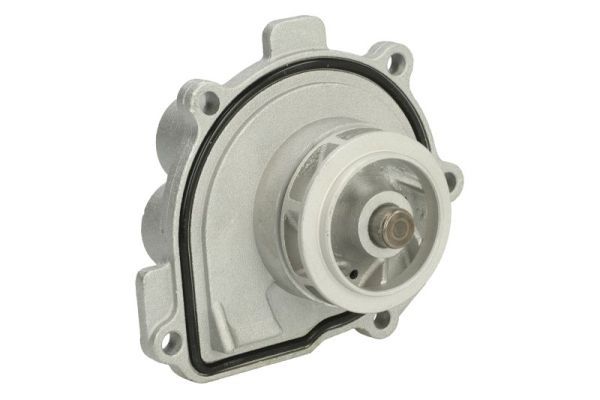 THERMOTEC D1X047TT Water Pump, engine cooling