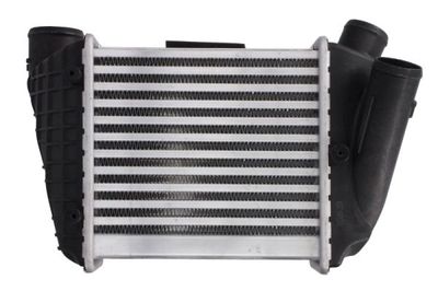 Charge Air Cooler THERMOTEC DAA002TT