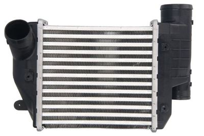 Charge Air Cooler THERMOTEC DAA026TT