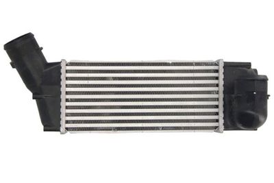 Charge Air Cooler THERMOTEC DAC018TT