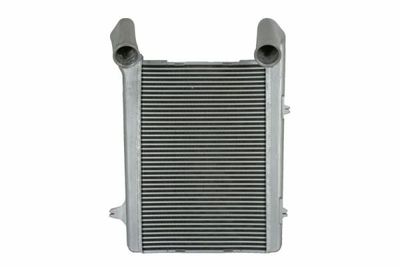 Charge Air Cooler THERMOTEC DADA002TT