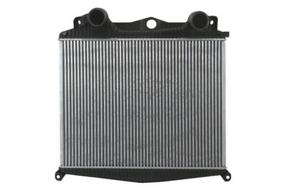 Charge Air Cooler THERMOTEC DAMA006TT