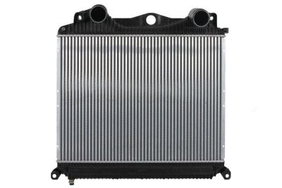 Charge Air Cooler THERMOTEC DAMA007TT