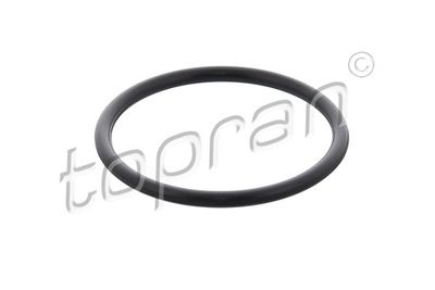 Gasket, intake manifold housing TOPRAN 208 313