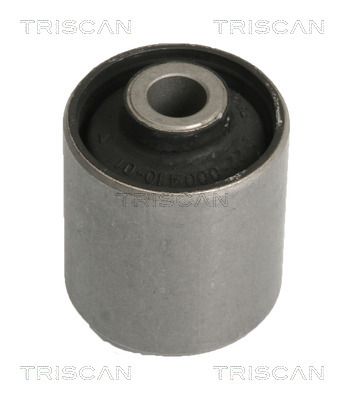 Bushing, axle beam TRISCAN 8500 10810