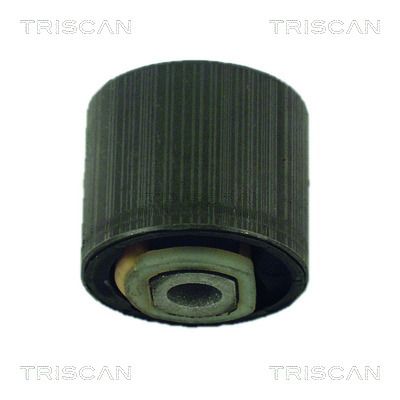 Mounting, control/trailing arm TRISCAN 8500 24818