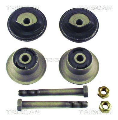 Bushing, axle beam TRISCAN 8500 29831