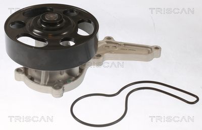 Water Pump, engine cooling TRISCAN 8600 40019