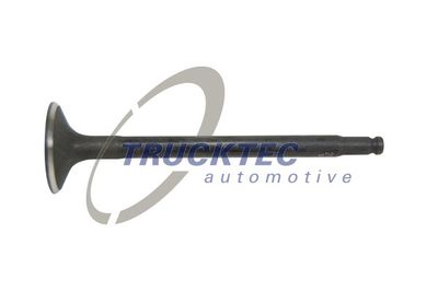 Intake Valve TRUCKTEC AUTOMOTIVE 02.12.143