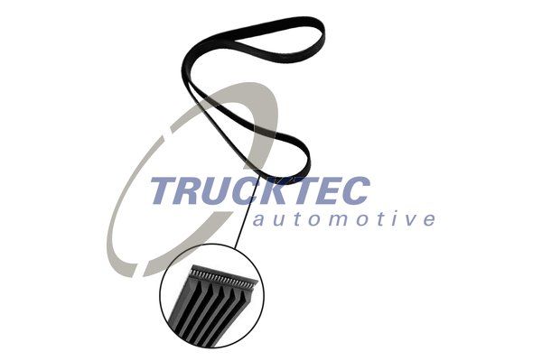 TRUCKTEC AUTOMOTIVE 02.19.343 V-Ribbed Belt