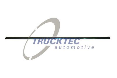 Trim/Protection Strip, door TRUCKTEC AUTOMOTIVE 02.52.108