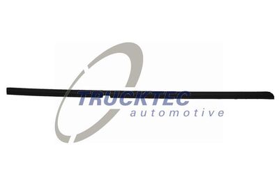 Trim/Protection Strip, door window TRUCKTEC AUTOMOTIVE 02.54.018