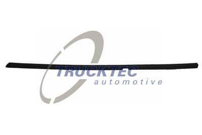 Trim/Protection Strip, door window TRUCKTEC AUTOMOTIVE 02.54.019