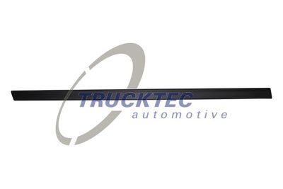 Trim/Protection Strip, door TRUCKTEC AUTOMOTIVE 08.62.901