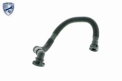 Hose, crankcase ventilation VAICO V10-2779