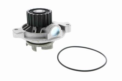 Water Pump, engine cooling VAICO V10-50017