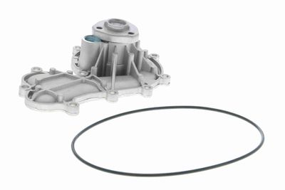 Water Pump, engine cooling VAICO V10-50079