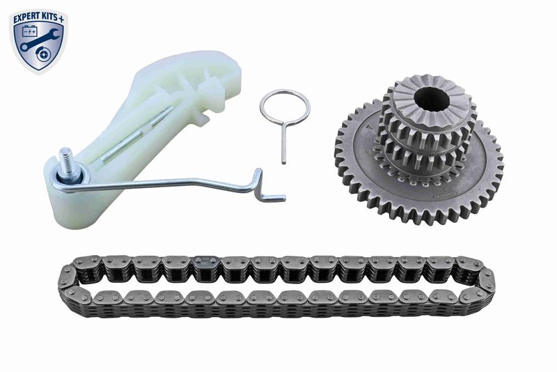 VAICO V10-5855 Chain Kit, oil pump drive