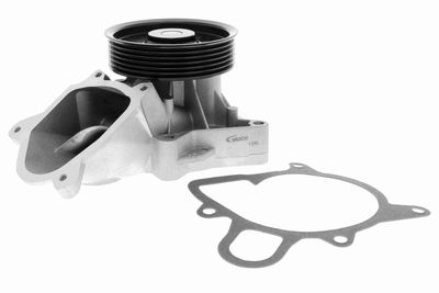 Water Pump, engine cooling VAICO V20-50061