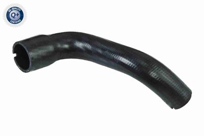 Charge Air Hose VAICO V24-0700