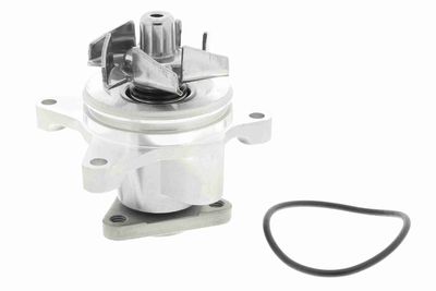 Water Pump, engine cooling VAICO V25-50013