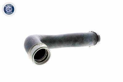 Charge Air Hose VAICO V30-1773