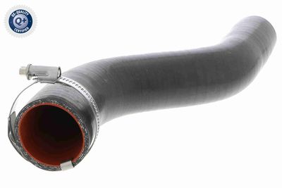 Charge Air Hose VAICO V46-0738