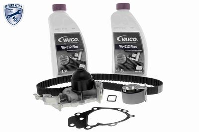 Water Pump & Timing Belt Kit VAICO V46-50023