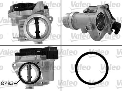 Throttle Body VALEO 700450