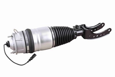 Air Suspension Strut VEMO V10-50-0006