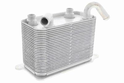 Oil Cooler, engine oil VEMO V15-60-6067