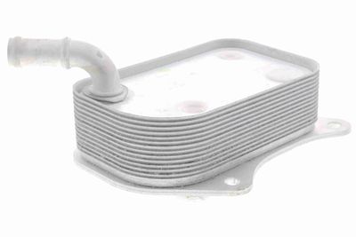 Oil Cooler, engine oil VEMO V15-60-6071