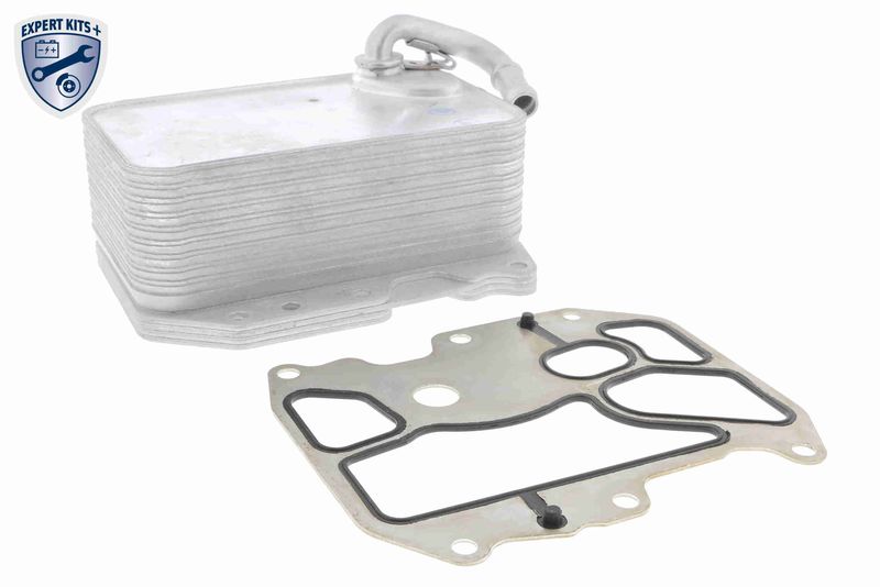 VEMO V15-60-6075 Oil Cooler, engine oil